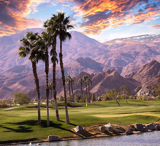Greater Palm Springs uses Near’s data for visitor insights